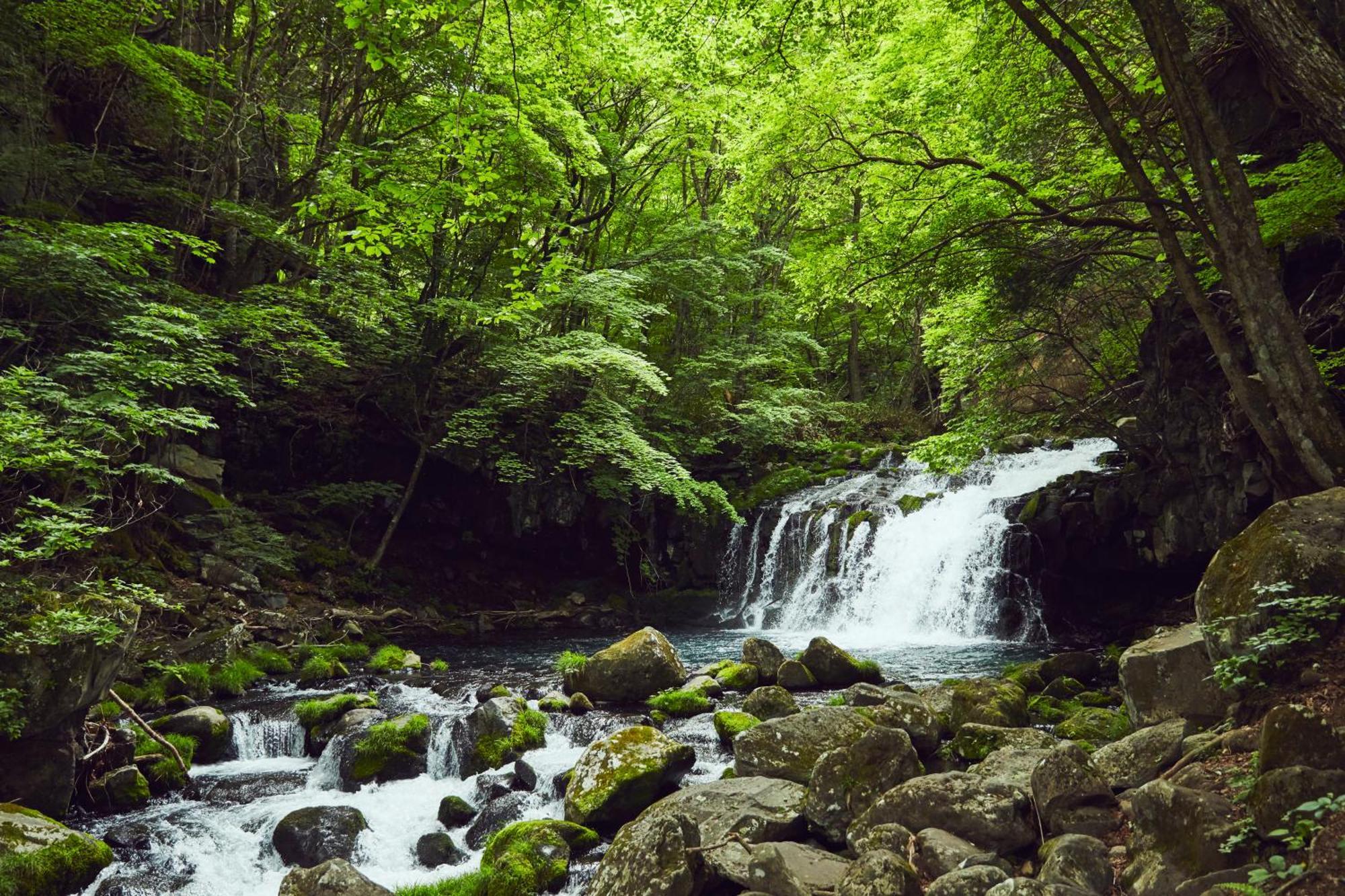 Tateshina Shinyu Onsen Ξενοδοχείο Chino Εξωτερικό φωτογραφία